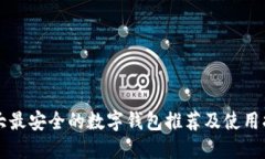 十大最安全的数字钱包推荐及使用指南