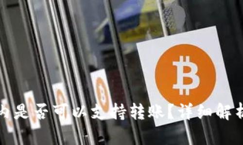 TP钱包在国内是否可以支持转账？详细解析与使用指南