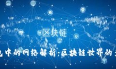 TP钱包中的网络解析：区块链世界的多样性