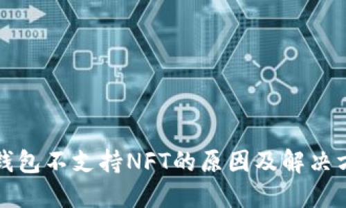 TP钱包不支持NFT的原因及解决方案