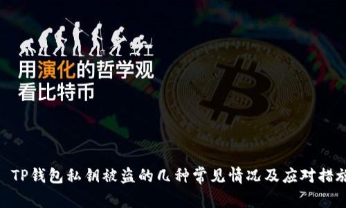 : TP钱包私钥被盗的几种常见情况及应对措施