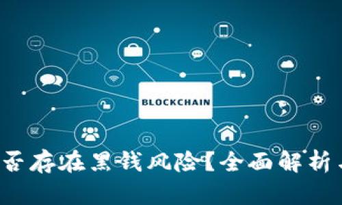 t p钱包是否存在黑钱风险？全面解析与用户指南
