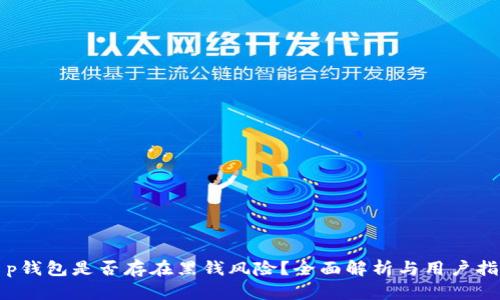 t p钱包是否存在黑钱风险？全面解析与用户指南