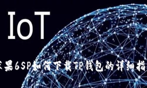 苹果6SP如何下载TP钱包的详细指南