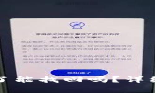 TP钱包助记词忘了能找回吗？详细解读及解决方案