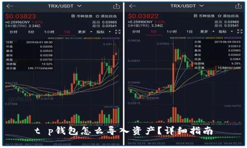 t p钱包怎么导入资产？详细指南