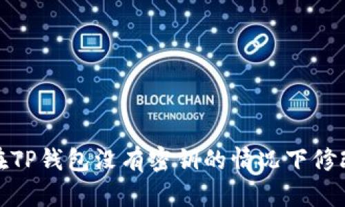 如何在TP钱包没有密钥的情况下修改密码
