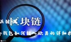与关键词t p钱包如何转入欧易的详细指南