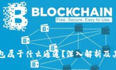 tp钱包属于什么通道？深入解析及其应用