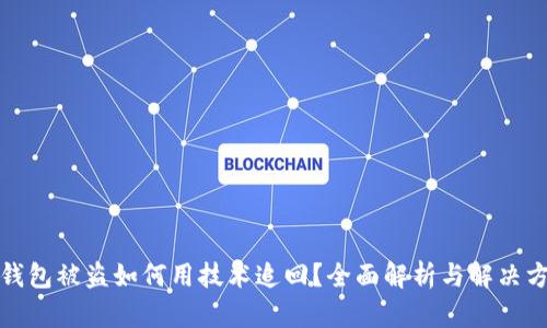 TP钱包被盗如何用技术追回？全面解析与解决方案