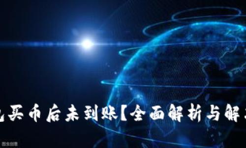 TP钱包买币后未到账？全面解析与解决方案