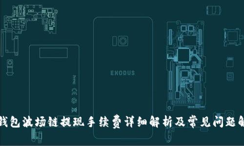 TP钱包波场链提现手续费详细解析及常见问题解答