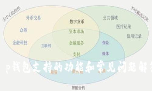 t p钱包支持的功能和常见问题解答