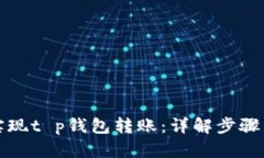 轻松实现t p钱包转账：详解步骤与技巧