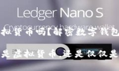 t p钱包是虚拟货币吗？解密数字钱包的真相t p钱