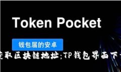 轻松获取区块链地址：TP钱包界面下载指南