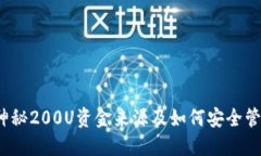 揭秘！TP钱包内神秘200U资金来源及如何安全管理