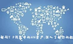 Title: 解码T P钱包中的HN资产：深入了解你的投资