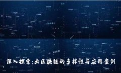 深入探索：大区块链的多样性与应用案例