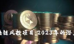 探索区块链风投项目：2023年的潜力与趋势