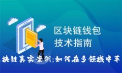 探寻中国区块链真实案例：如何在多领域中革新
