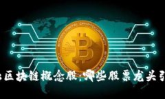 揭秘金融区块链概念股：哪些股票龙头引领市场