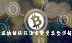区块链编程语言变量类型详解