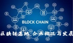 贵州区块链基地：企业概况与发展现状