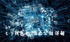 brt p钱包的19大公链详解