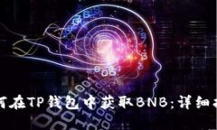 如何在TP钱包中获取BNB：详细指南