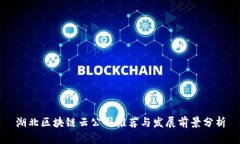 湖北区块链云公司推荐与发展前景分析