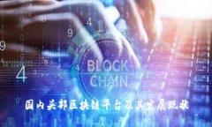 国内头部区块链平台及其发展现状