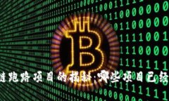 区块链跑路项目的揭秘：哪些项目已经消失？