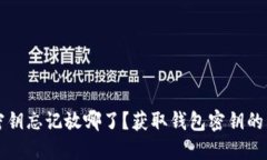 TP钱包密钥忘记放哪了？获取钱包密钥的详细指南