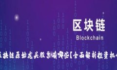 区块链原始龙头股票有哪些？全面解析投资机会