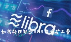 TP钱包如何处理缺少BNB作为矿工费的问题