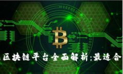 数字藏品区块链平台全面解析：最适合你的选择