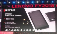 国内区块链平台及项目名称全面介绍