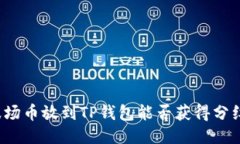 波场币放到TP钱包能否获得分红？