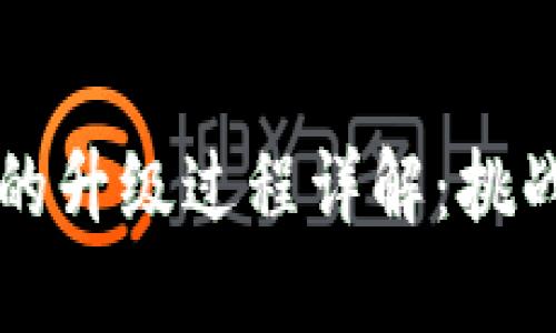 区块链网络的升级过程详解：挑战与解决方案