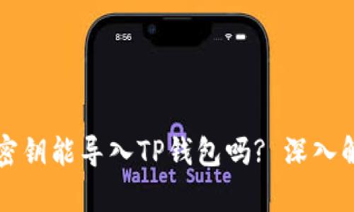 比特钱包密钥能导入TP钱包吗? 深入解析与指南