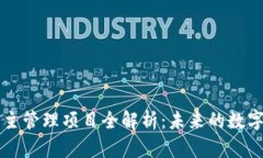 区块链自主管理项目全解析：未来的数字治理方