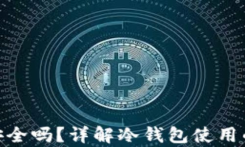 
tp上的冷钱包安全吗？详解冷钱包使用的安全性与风险