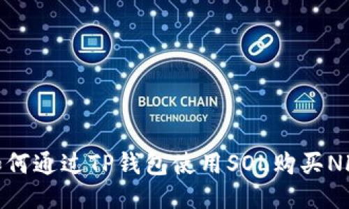 如何通过TP钱包使用SOL购买NFT