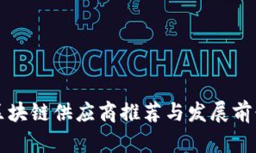 仙游区块链供应商推荐与发展前景分析