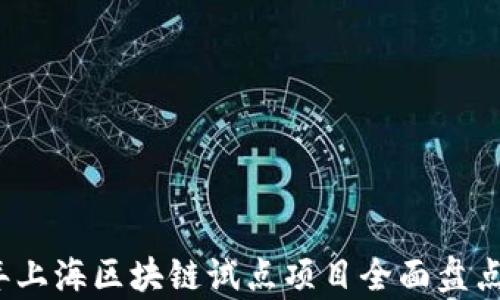 
2023年上海区块链试点项目全面盘点及分析