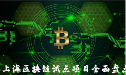 
2023年上海区块链试点项目全面盘点及分析