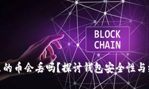 TP钱包里的币会丢吗？探讨钱包安全性与维权措施