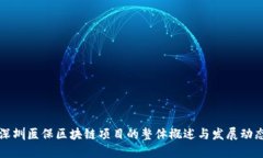 深圳医保区块链项目的整体概述与发展动态